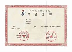贵州大学文凭查询方法