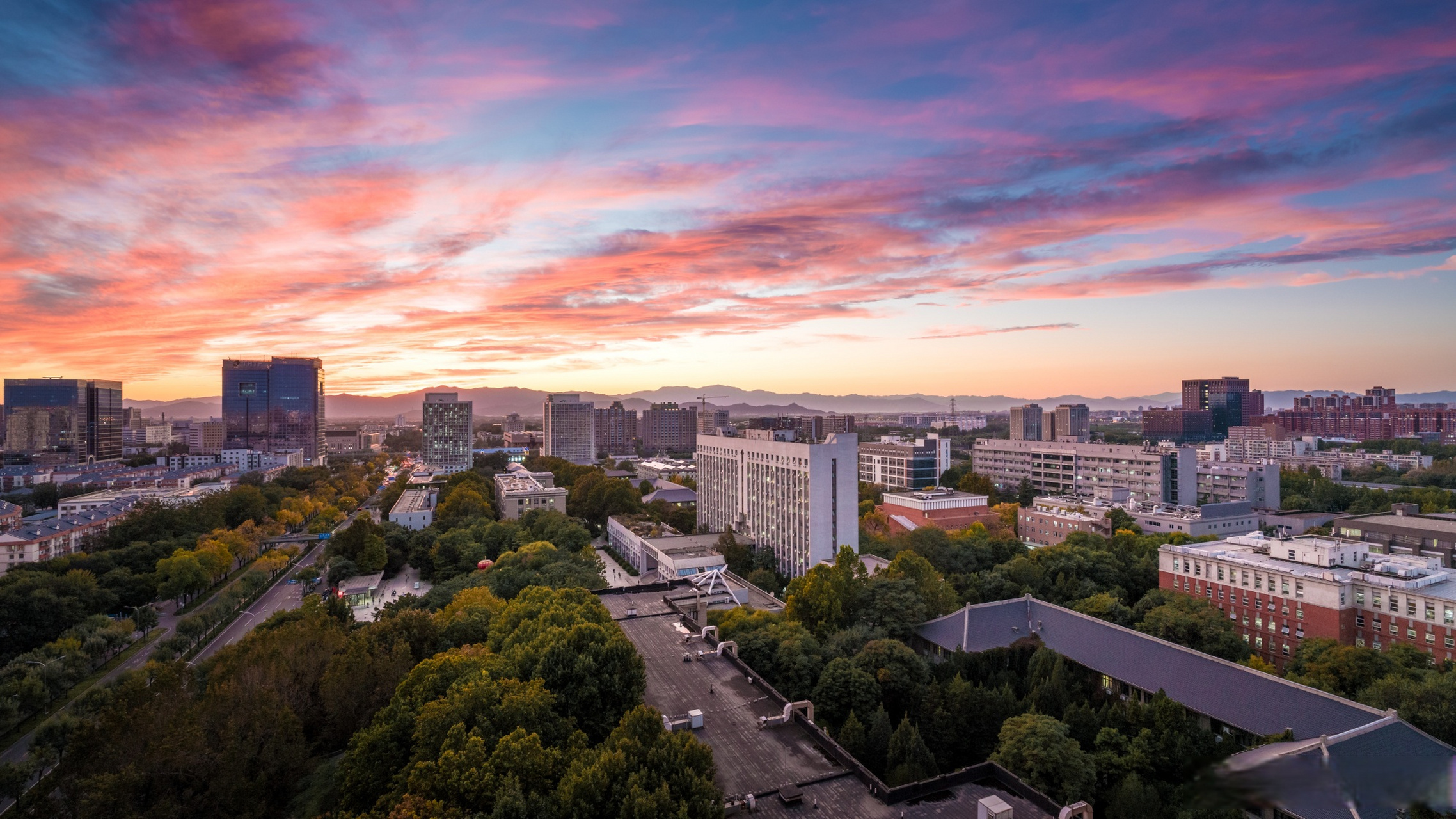 北京林业大学录取分数线